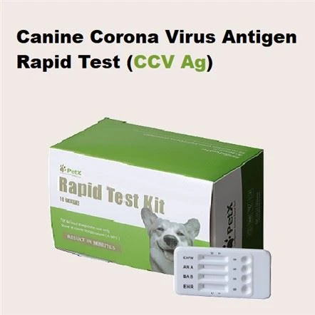CCV Ag